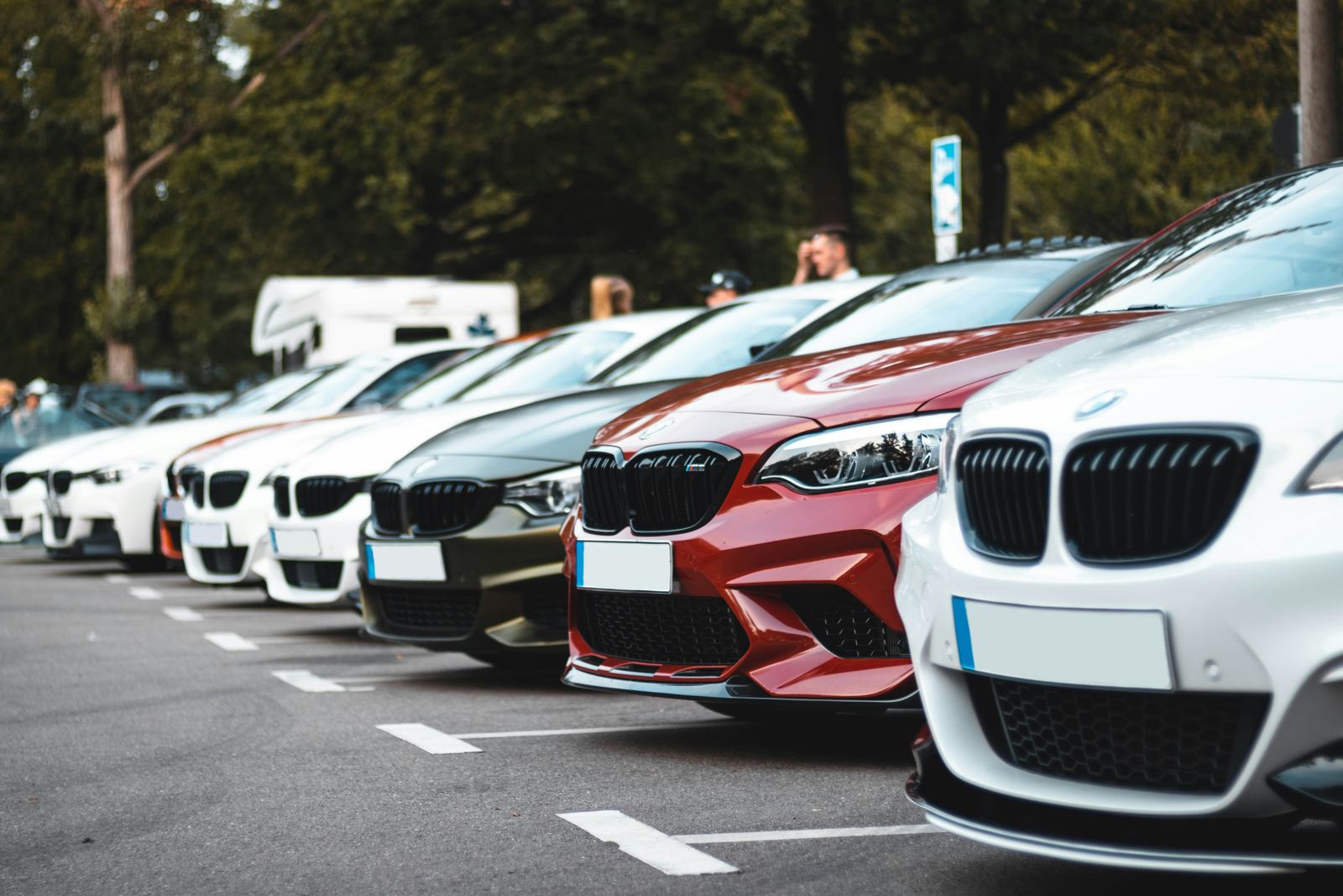 Vehicle Insurance